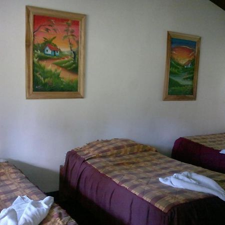 Hostel Villa Verde Monteverde Esterno foto