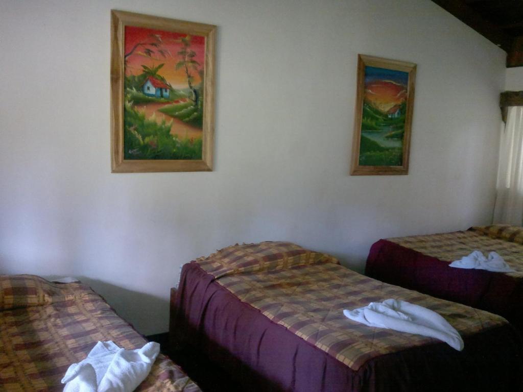 Hostel Villa Verde Monteverde Esterno foto