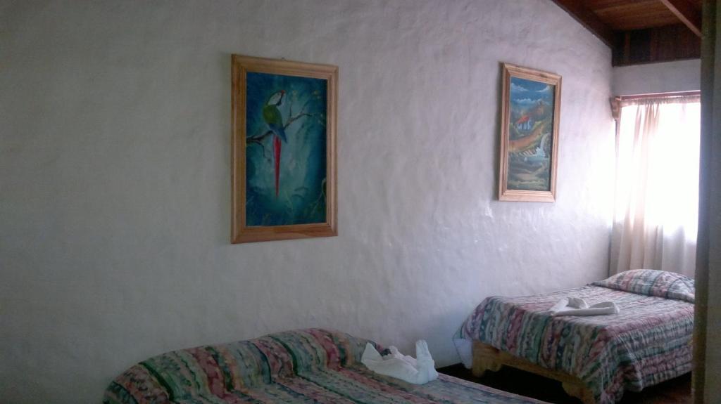 Hostel Villa Verde Monteverde Esterno foto