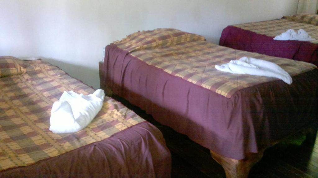 Hostel Villa Verde Monteverde Esterno foto