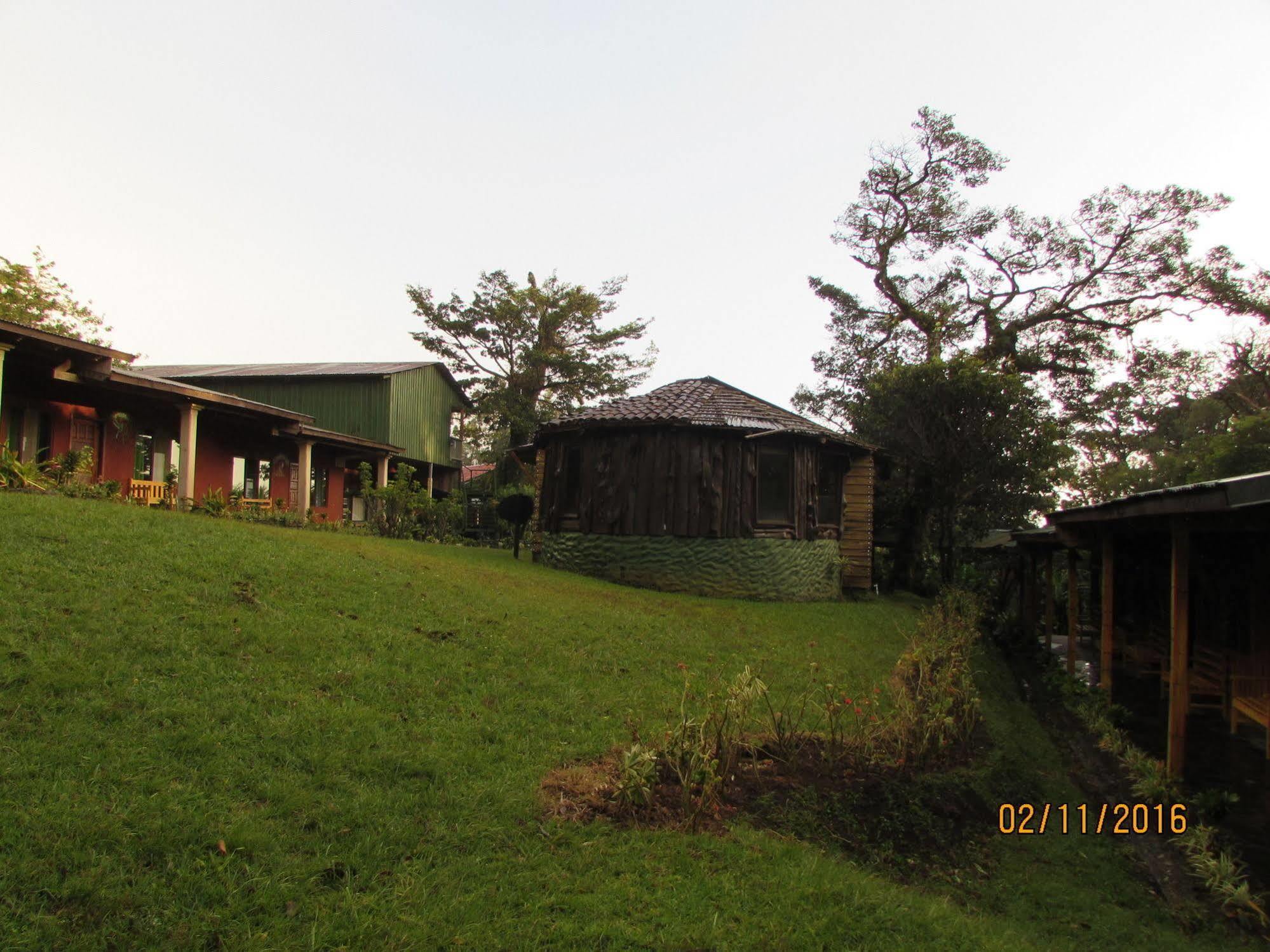Hostel Villa Verde Monteverde Esterno foto